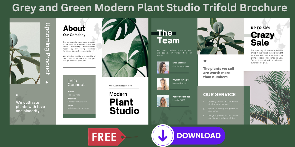 Grey and Green Modern Plant Studio Trifold Brochure