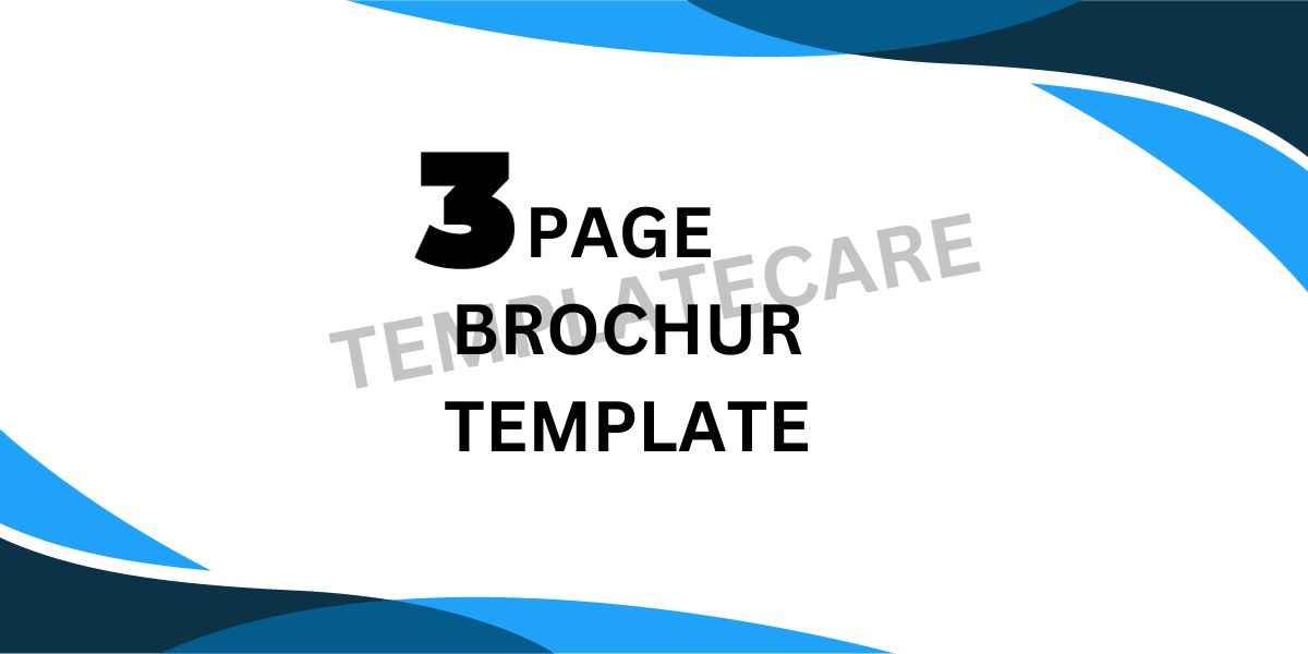 Best 3 Page Brochure Template